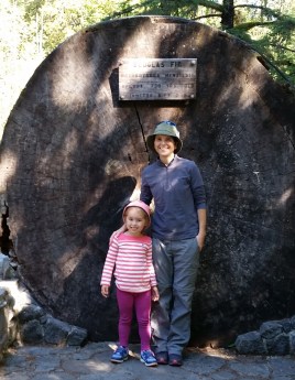 Glacier Ranger Station